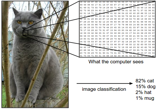 How a computer views an image